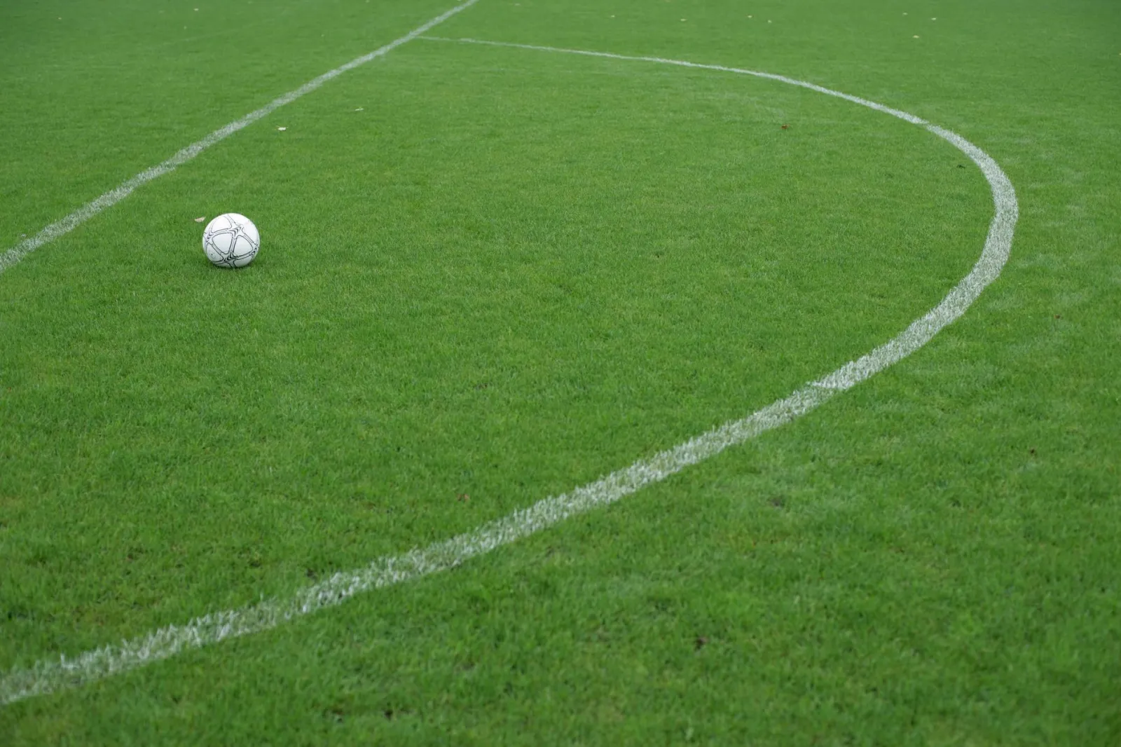 Soccer ball resting on a vibrant green field with white boundary lines.